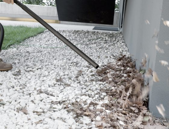 AspIradora Multisuso WD 1 Karcher